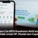 Cara Cek BPJS Kesehatan Aktif atau Tidak Lewat HP, Mudah dan Cepat