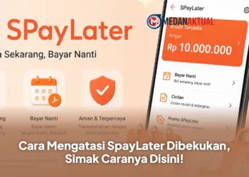 Cara Mengatasi SpayLater Dibekukan, Simak Caranya Disini!