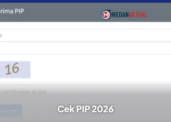 Cara Cek PIP 2026 Secara Online Lewat Website dan Aplikasi