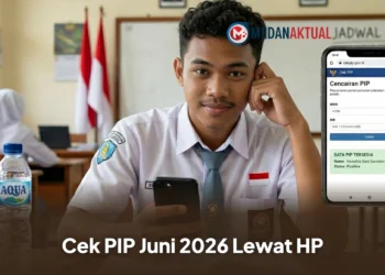 Cek PIP Juni 2026 Lewat HP, Begini Cara Mengetahui Status Penerima dengan Mudah