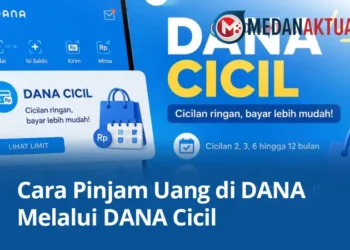 Cara Pinjam Uang di DANA Melalui DANA Cicil