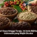 Dari Gayo hingga Toraja, Ini Jenis Biji Kopi Indonesia yang Wajib Dicoba
