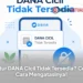Fitur DANA Cicil Tidak Tersedia? Cek Cara Mengatasinya!