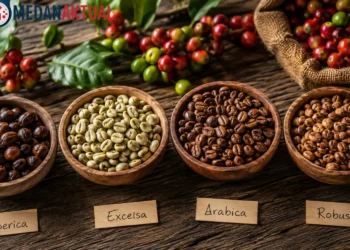 Mengenal Jenis-Jenis Kopi dan Perbedaannya, Panduan Memilih Sesuai Selera