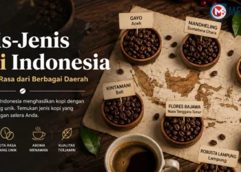 Jenis-Jenis Kopi yang Populer di Indonesia Beserta Cita Rasa Khasnya