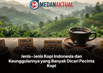 Jenis-Jenis Kopi Indonesia dan Keunggulannya yang Banyak Dicari Pecinta Kopi
