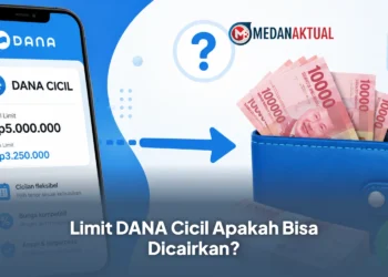 Limit DANA Cicil Apakah Bisa Dicairkan?