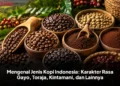 Mengenal Jenis Kopi Indonesia: Karakter Rasa Gayo, Toraja, Kintamani, dan Lainnya