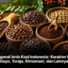 Mengenal Jenis Kopi Indonesia: Karakter Rasa Gayo, Toraja, Kintamani, dan Lainnya