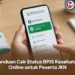 Panduan Cek Status BPJS Kesehatan Online untuk Peserta JKN