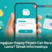 Pengajuan Gopay Pinjam Cair Berapa Lama? Simak Informasinya
