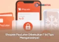 Shopee PayLater Dibekukan? Ini Tips Mengatasinya!