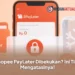 Shopee PayLater Dibekukan? Ini Tips Mengatasinya!