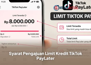 Syarat Pengajuan Limit Kredit TikTok PayLater