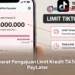 Syarat Pengajuan Limit Kredit TikTok PayLater
