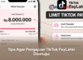 Tips Agar Pengajuan TikTok PayLater Disetujui