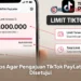 Tips Agar Pengajuan TikTok PayLater Disetujui