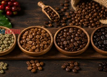 Cara Mengenali Jenis Biji Kopi dari Bentuk, Warna, dan Aromanya