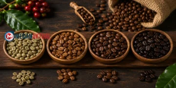 Cara Mengenali Jenis Biji Kopi dari Bentuk, Warna, dan Aromanya