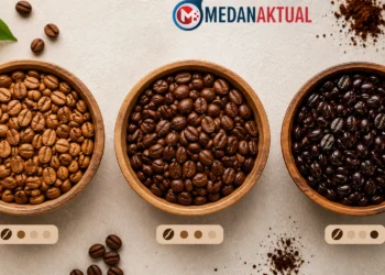 Perbedaan roast level kopi light roast, medium roast, dan dark roast berdasarkan warna biji kopi hasil sangrai.
