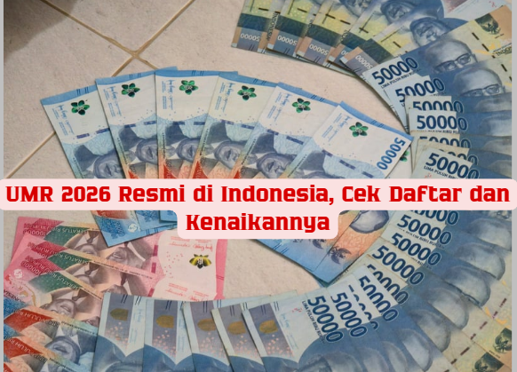 UMR 2026 Resmi di Indonesia, Cek Daftar dan Kenaikannya