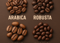 Jenis-jenis Biji Kopi: ini Perbedaan Arabica, Robusta, Leberika dan Excelsa