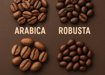 Jenis-jenis Biji Kopi: ini Perbedaan Arabica, Robusta, Leberika dan Excelsa