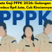 Update Gaji PPPK 2026: Golongan IX Tembus Rp4 Juta, Cek Rinciannya