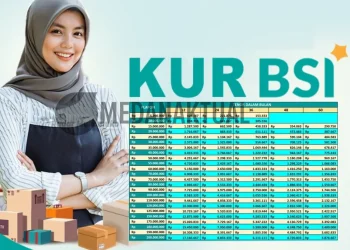 Cara Ajukan KUR BSI, Pembiayaan Tanpa Riba