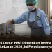 PPPK Dapur MBG Dipastikan Terima THR Lebaran 2026, Ini Penjelasannya