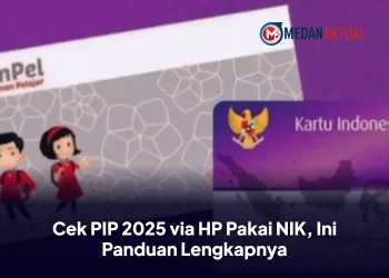 Cek PIP 2025 via HP Pakai NIK, Ini Panduan Lengkapnya
