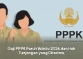 Gaji PPPK Paruh Waktu 2026 dan Hak Tunjangan yang Diterima