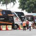 Info Mudik Gratis BUMN 2026 Terbaru, Cek Kuota, Rute, dan Link Pendaftaran