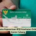 Cara Cek Status Kepesertaan BPJS Kesehatan Online Tanpa ke Kantor Cabang