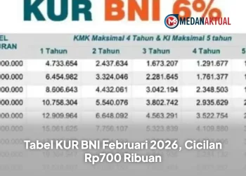 Tabel KUR BNI Februari 2026, Cicilan Rp700 Ribuan
