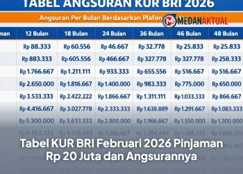 Tabel KUR BRI Februari 2026 Pinjaman Rp 20 Juta dan Angsurannya