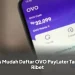 Tips Mudah Daftar OVO PayLater Tanpa Ribet