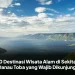 10 Destinasi Wisata Alam di Sekitar Danau Toba yang Wajib Dikunjungi
