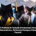10 Politeknik Terbaik di Indonesia Versi Webometrics, Referensi Kampus Vokasi Favorit