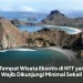 5 Tempat Wisata Eksotis di NTT yang Wajib Dikunjungi Minimal Sekali