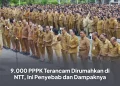 9.000 PPPK Terancam Dirumahkan di NTT, Ini Penyebab dan Dampaknya