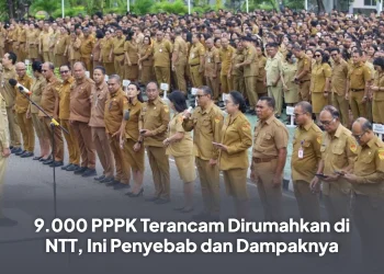 9.000 PPPK Terancam Dirumahkan di NTT, Ini Penyebab dan Dampaknya
