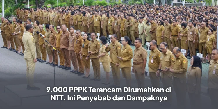 9.000 PPPK Terancam Dirumahkan di NTT, Ini Penyebab dan Dampaknya