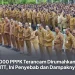 9.000 PPPK Terancam Dirumahkan di NTT, Ini Penyebab dan Dampaknya