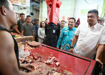 Harga Ayam di Sumut Mulai Turun Jelang Idulfitri 2026, Pemprov Perkuat Pengendalian