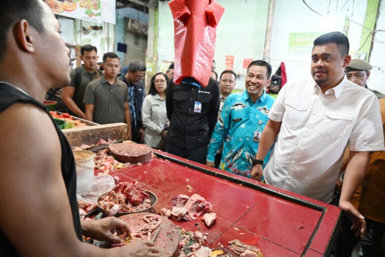 Harga Ayam di Sumut Mulai Turun Jelang Idulfitri 2026, Pemprov Perkuat Pengendalian