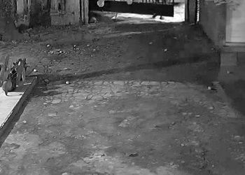 Dua Pelaku Gondol Pagar Rumah Tanpa Alat, Diangkat Begitu Saja Saat Warga Terlelap