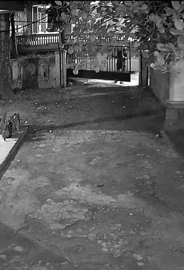 Dua Pelaku Gondol Pagar Rumah Tanpa Alat, Diangkat Begitu Saja Saat Warga Terlelap