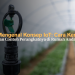 Mengenal Konsep IoT: Cara Kerja dan Contoh Perangkatnya di Rumah Anda