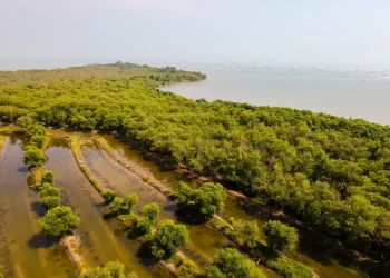 Rekomendasi 11 Tempat Wisata Populer di Banten yang Wajib Didatangi